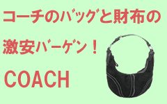 �R�[�`���ޯ�ނƍ��z������