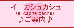 e-cache cache()ē