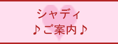 �V���f�B���ē�